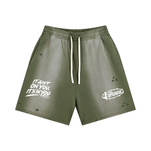 The Upgrade Sun Fade Distressed Shorts